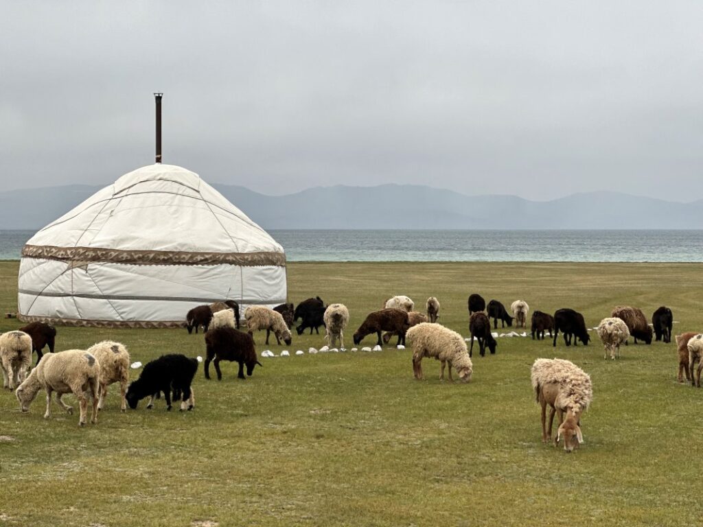 Horseback Riding Tour to Son-Kul. Tours Kyrgyzstan, Silk Road, Tours Central Asia, Horse riding tour, Kyrgyzstan, Trekking tour, Altyn Arashan, Issyk-Kul lake, Son-Kol lake