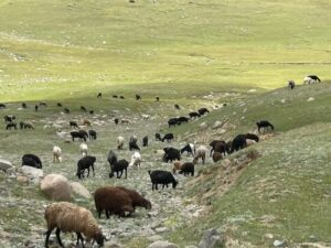 Burana Tower, Skazka Canyon, Sary Chelek Lake, Barskoon Gorge, Altyn Arashan Gorge, Arslanbob Walnut Forest, Son Kol Lake, Kyzyl Asker, horse riding in kyrgyzstan, trekking, kyrgyzstan, tourizm in kyrgyzstan, Issyk kul lake