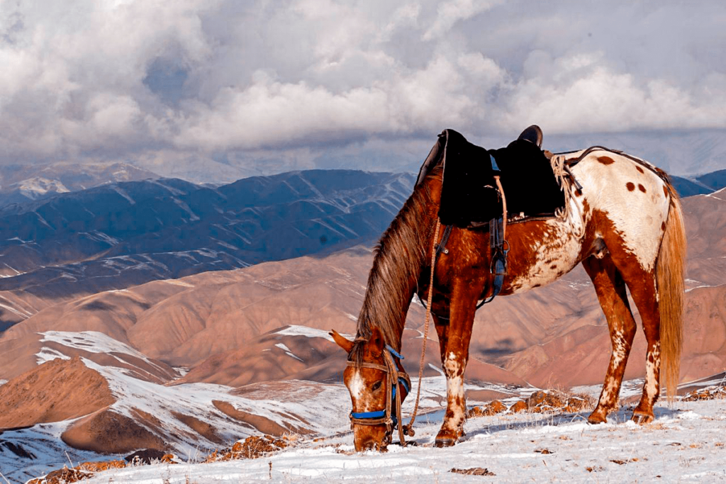 Burana Tower, Skazka Canyon, Sary Chelek Lake, Barskoon Gorge, Altyn Arashan Gorge, Arslanbob Walnut Forest, Son Kol Lake, Kyzyl Asker, horse riding in kyrgyzstan, trekking, kyrgyzstan, tourizm in kyrgyzstan, Issyk kul lake, eagle hunting