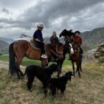 Picture of Eagle hunting show. Kyrgyzstan