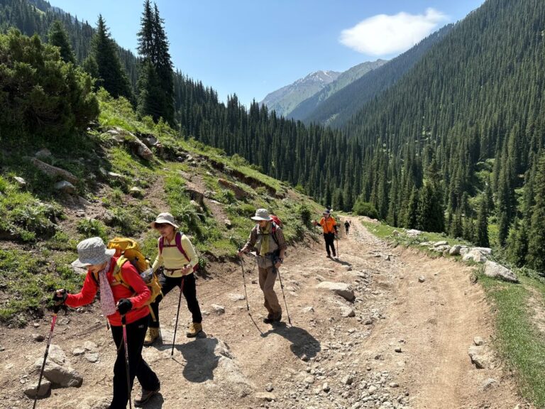 picture of Trekking to Altyn Arashan