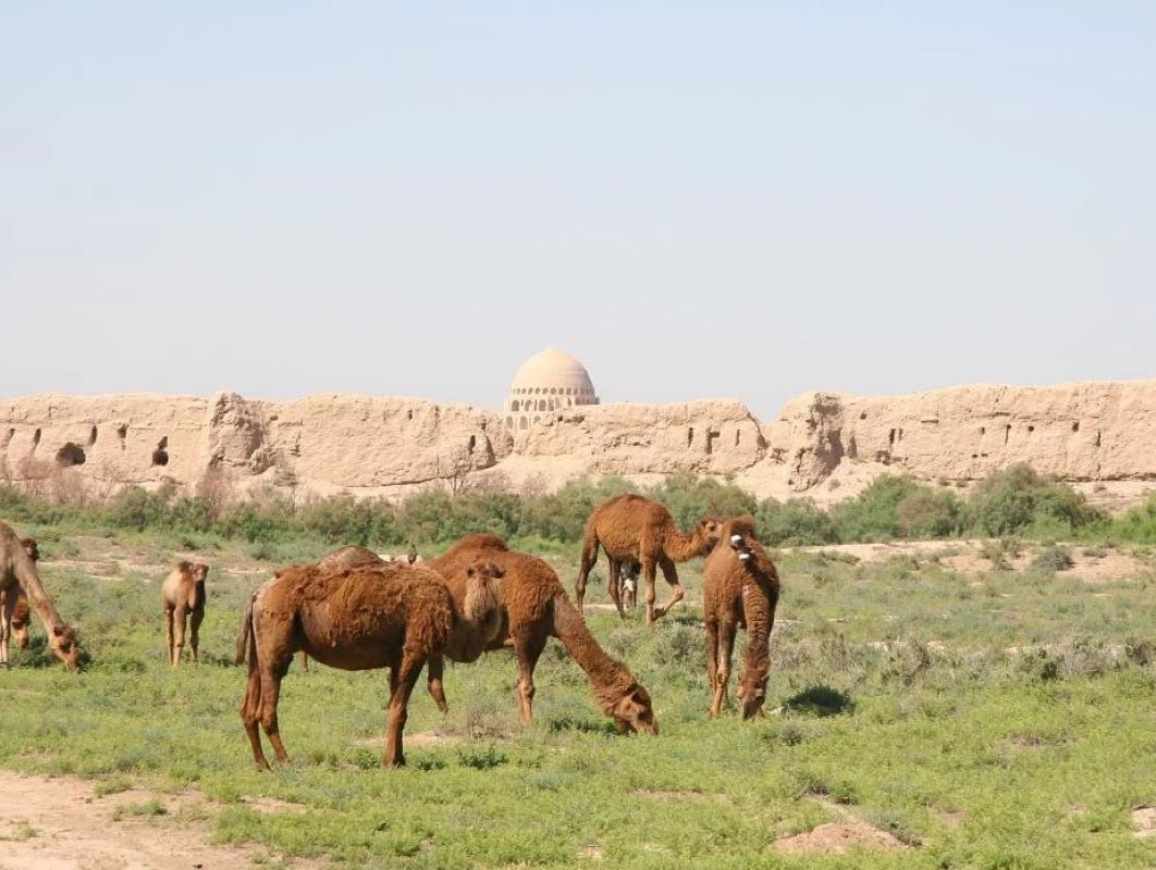 photo of Markush oazis. Turkmenistan