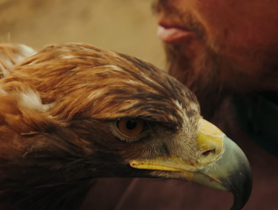 travel and tours in Kyrgyzstan. Eagle hunting tour in Kyrgyzstan