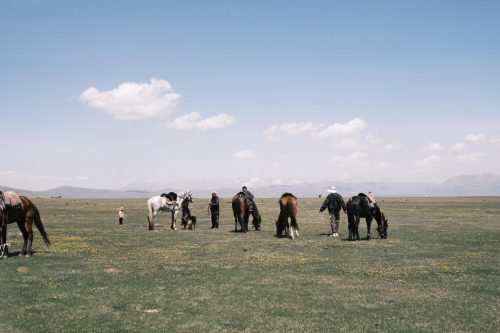 travel to son kul, tours in son kul lake. horseback son kol