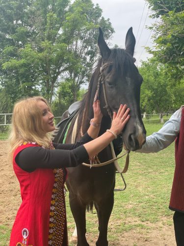 Turkmen Akhal Teke Horse
